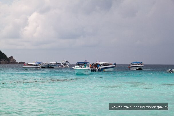 photo 87318