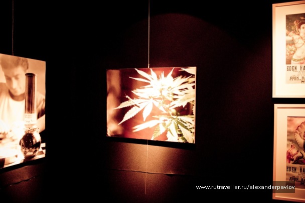 photo 87449