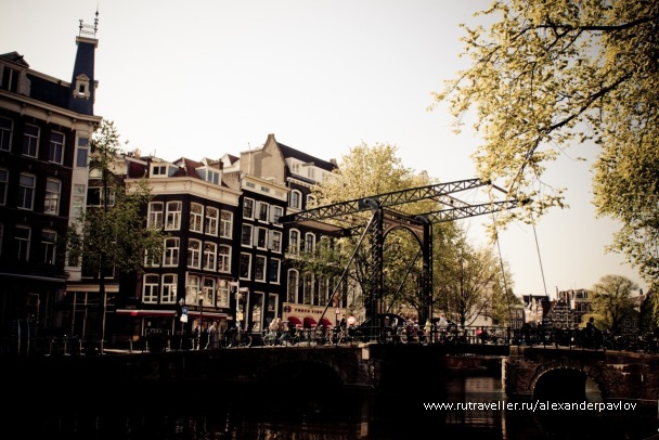 photo 87465