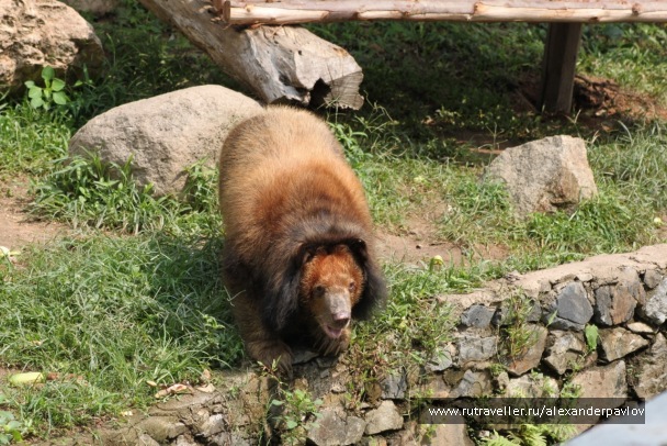 photo 89932