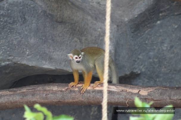 photo 89942
