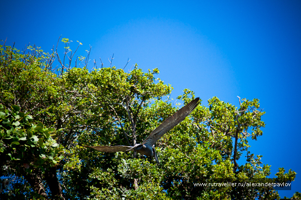 photo 151832