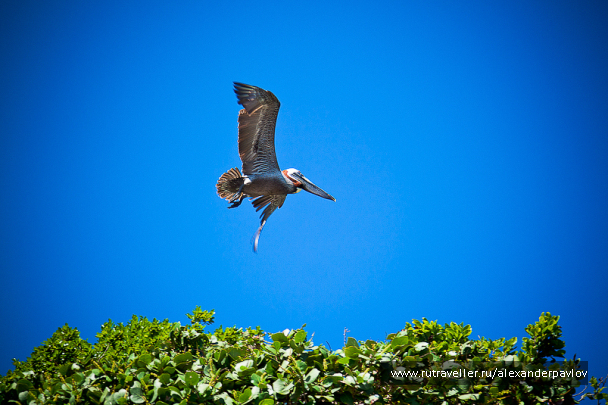 photo 151833
