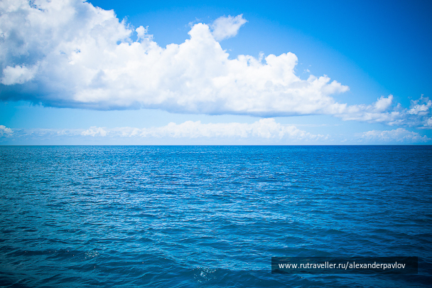 photo 151891