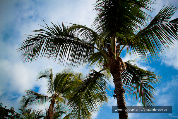 photo 151918