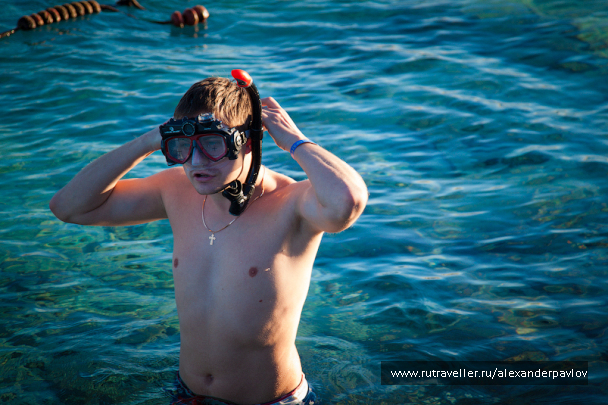 photo 215011