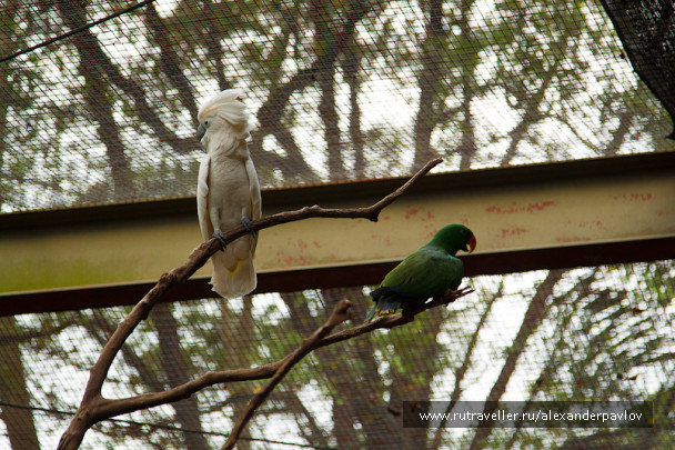 photo 309951