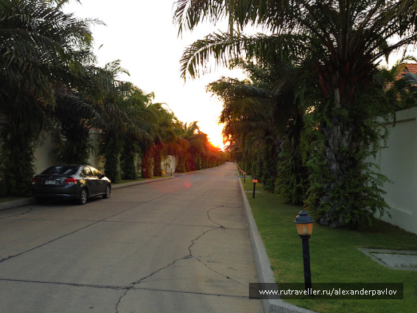 photo 312535