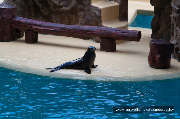photo 623701