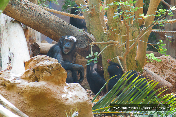 photo 623714