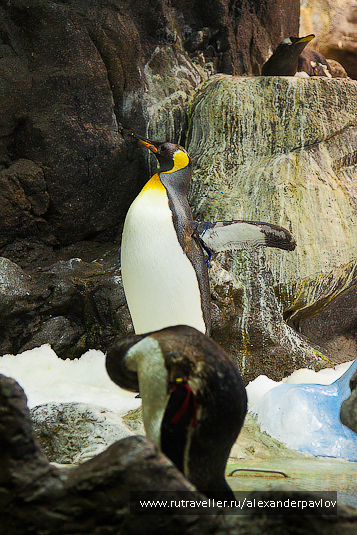 photo 623721