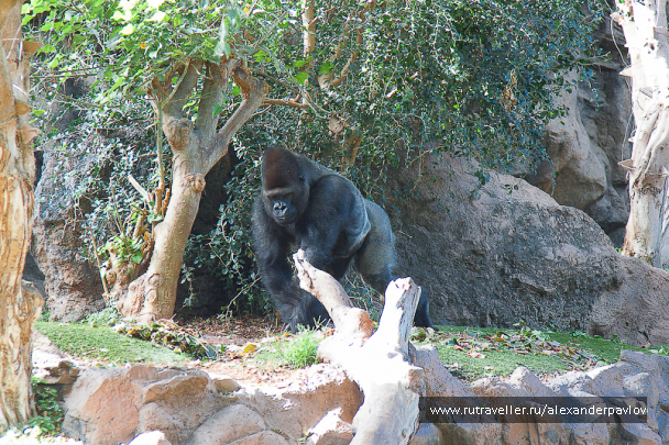 photo 623723
