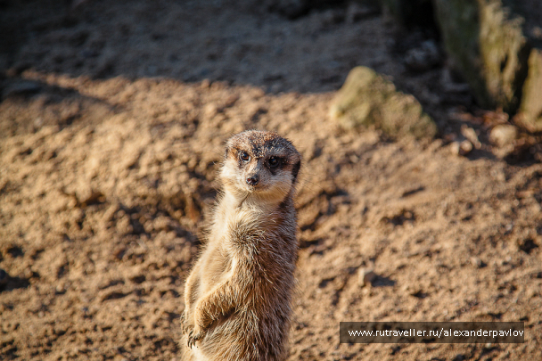photo 629309