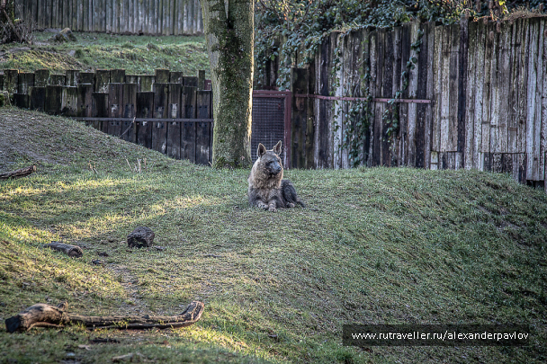 photo 629314