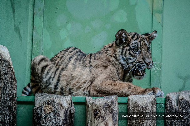 photo 629317