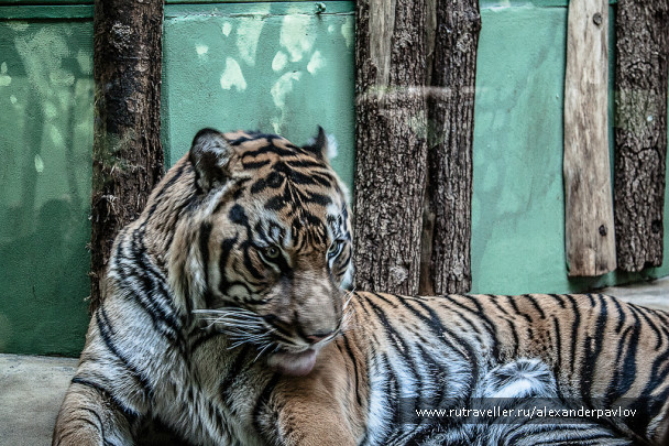 photo 629318
