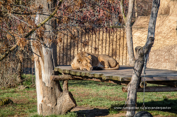 photo 629319