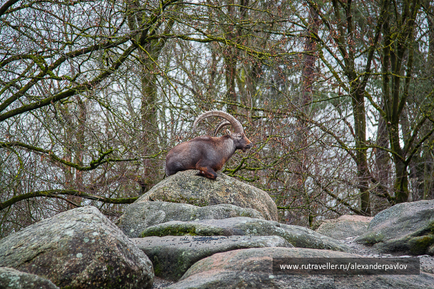 photo 642805