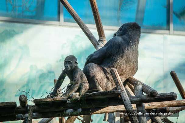 photo 642817