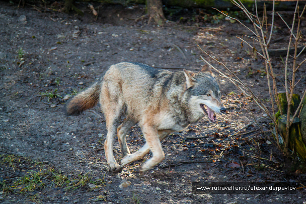 photo 642819
