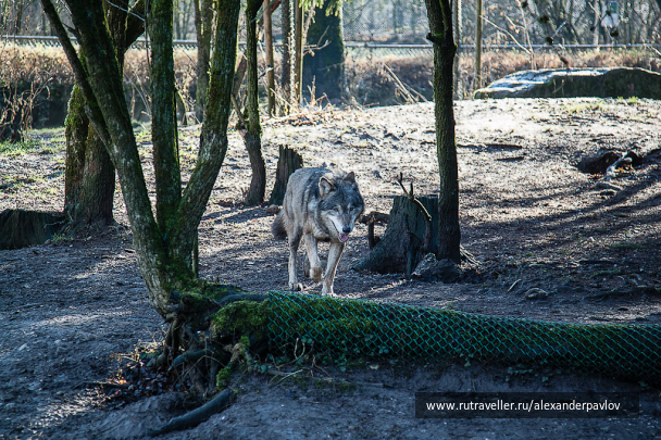 photo 642820