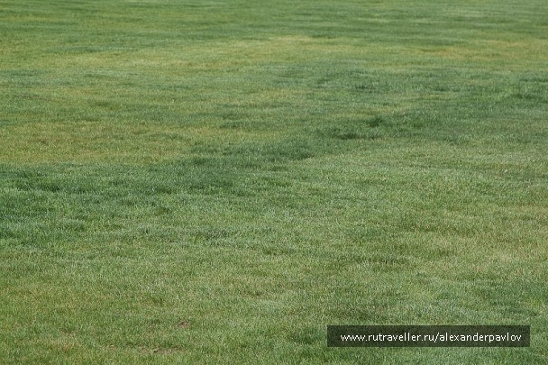 photo 744309
