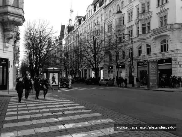 photo 1011370