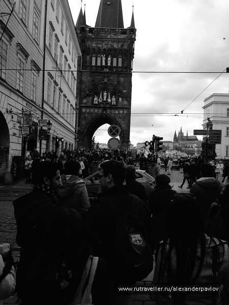 photo 1011375
