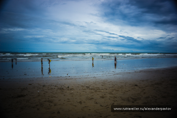 photo 1597113