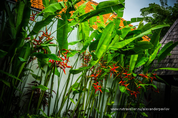 photo 1597116
