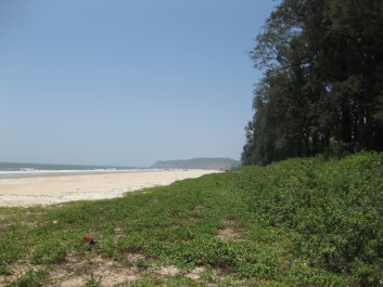 photo 429584