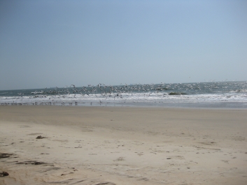 photo 429618