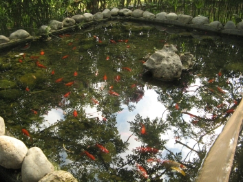 photo 767967