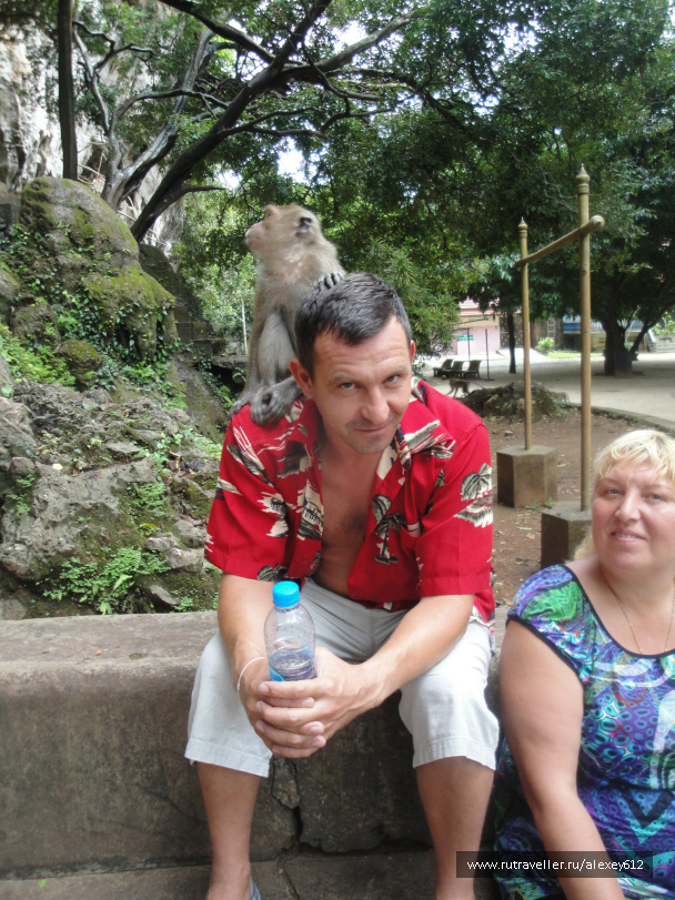 photo 469061