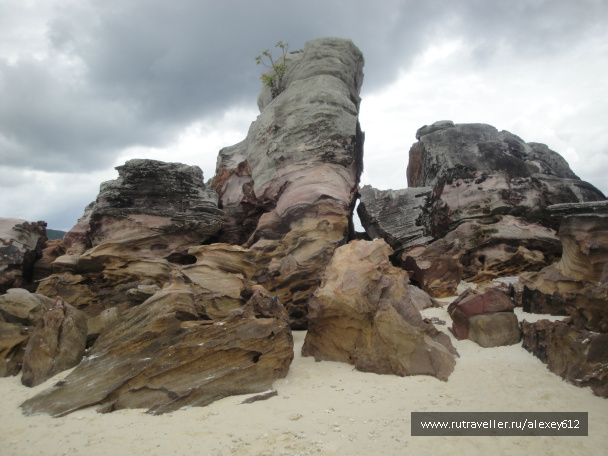 photo 469071