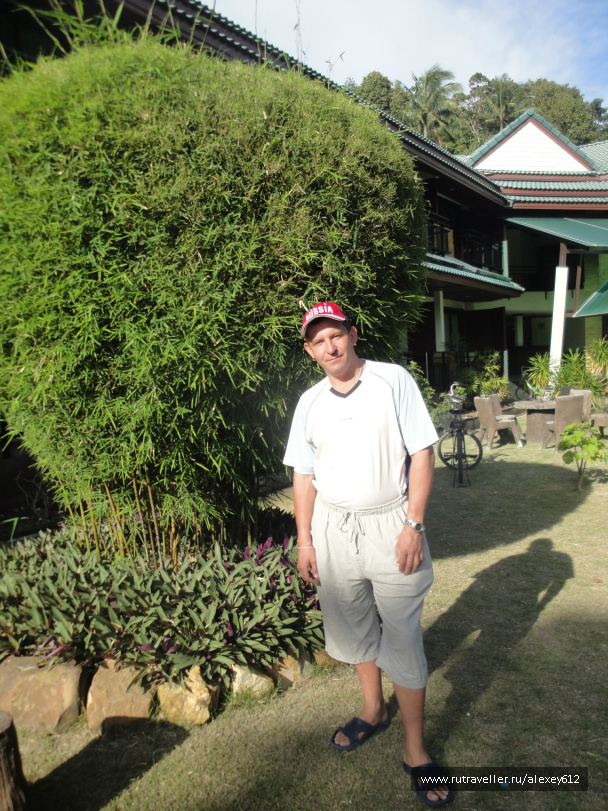 photo 469177