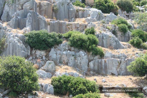 photo 469661
