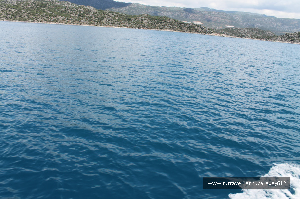 photo 469663