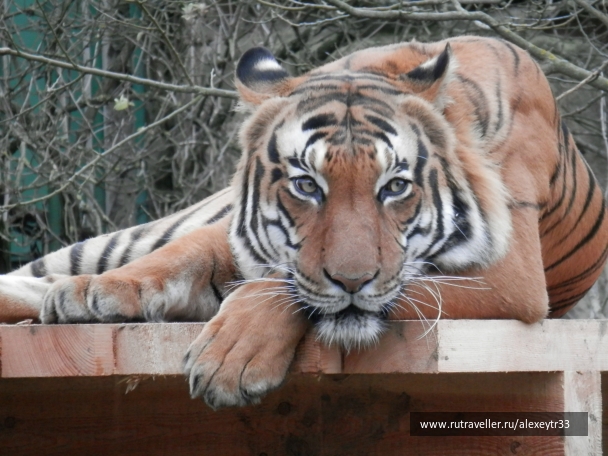 photo 939789