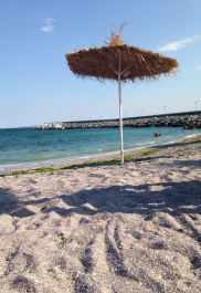 photo 1342934