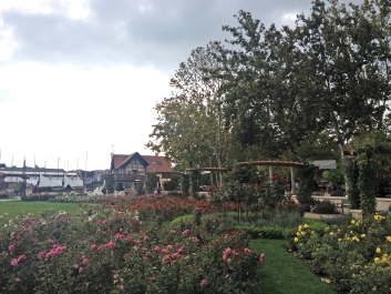 photo 852752