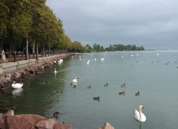 photo 852753