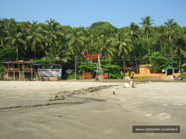 photo 43752