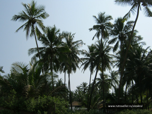 photo 43754