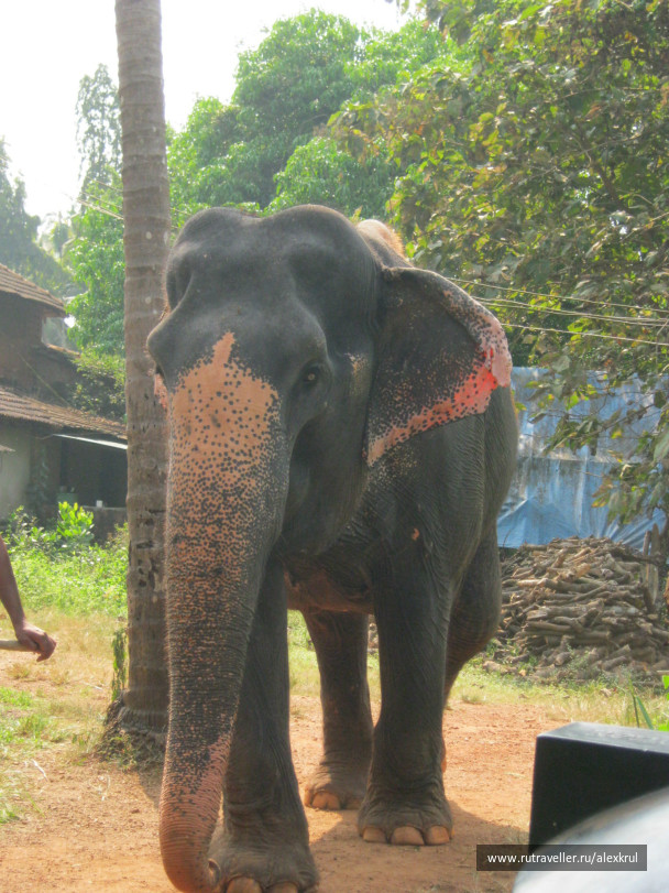 photo 43761