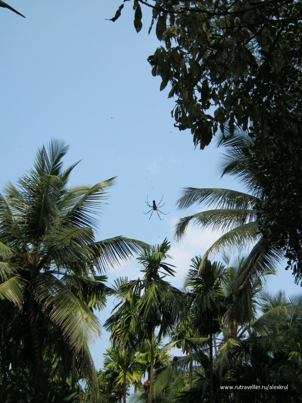 photo 43762