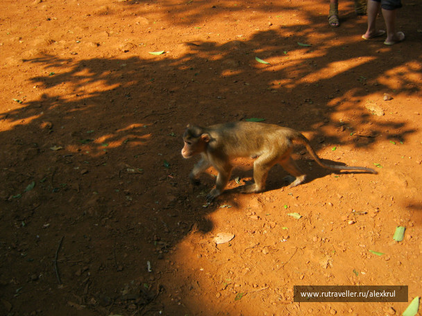 photo 43767