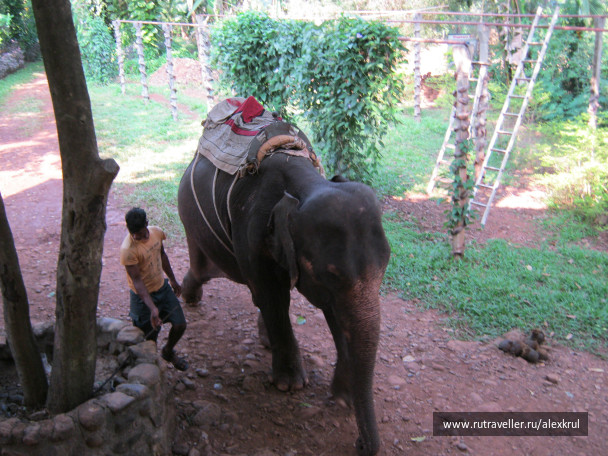 photo 43769