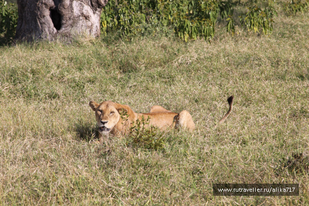 photo 107199