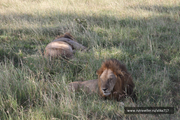 photo 107201
